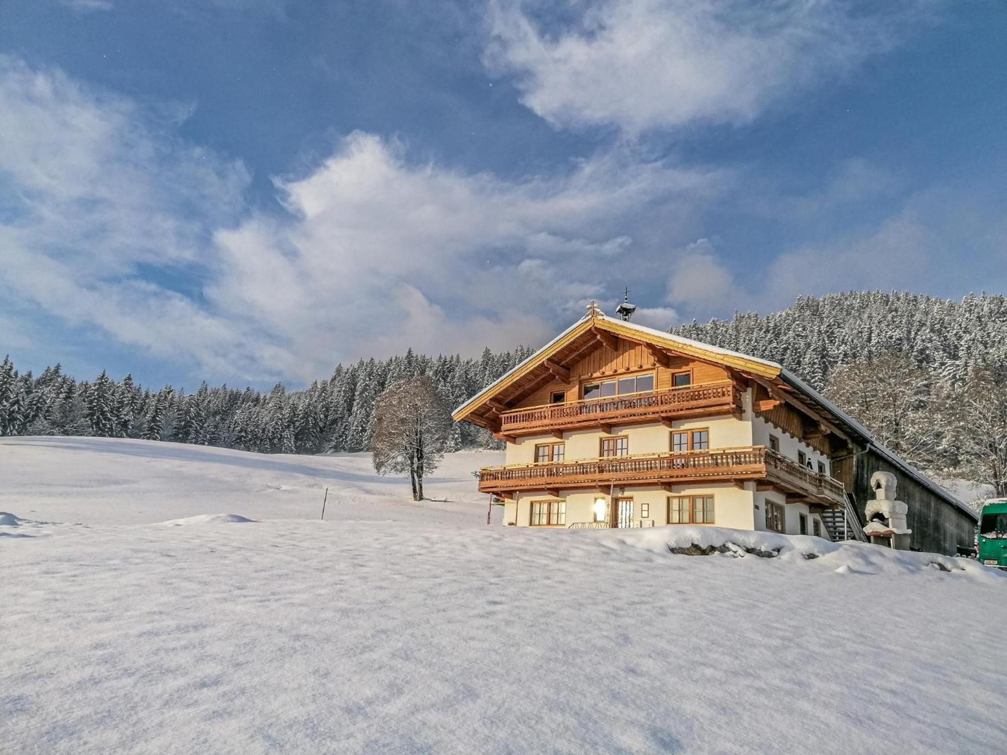 Апартаменты Flicklhof Xl Хопфгартен-им-Бриксенталь Экстерьер фото