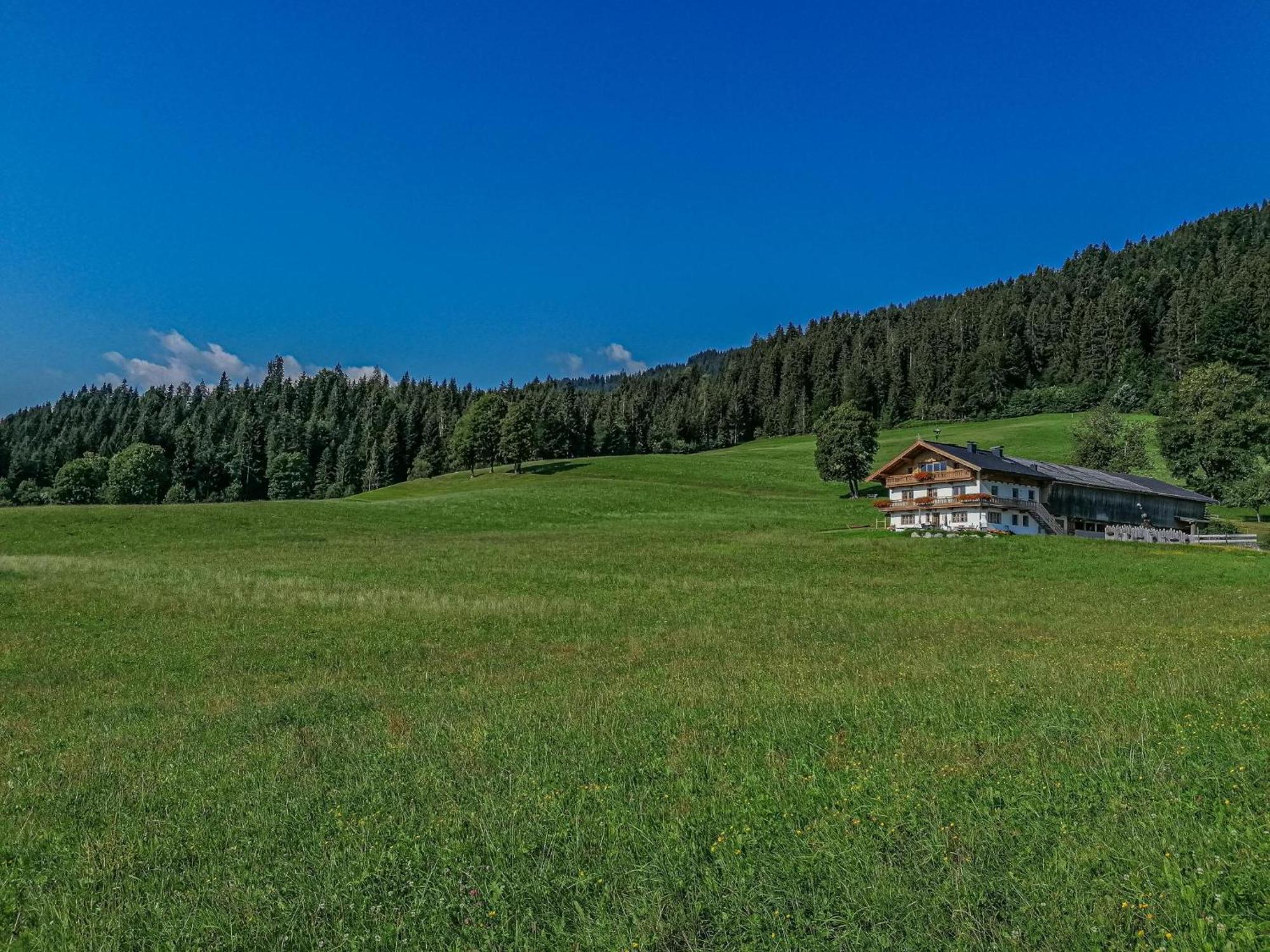 Апартаменты Flicklhof Xl Хопфгартен-им-Бриксенталь Экстерьер фото
