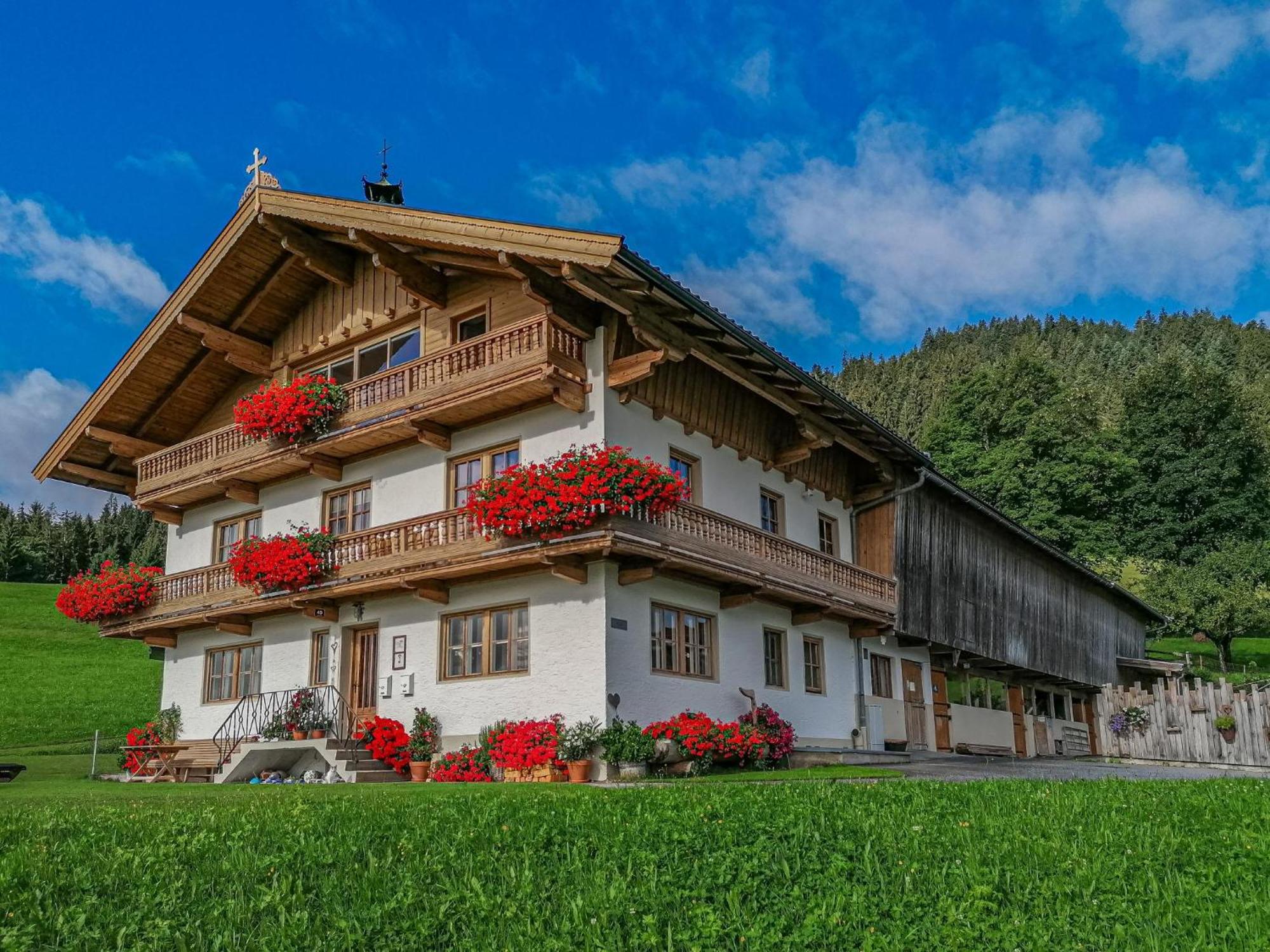 Апартаменты Flicklhof Xl Хопфгартен-им-Бриксенталь Экстерьер фото